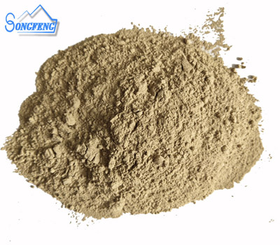 �X�\�����ϏS�Ҽ�(x��)�ۈD